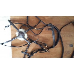 Filet équitation HFI MASTER