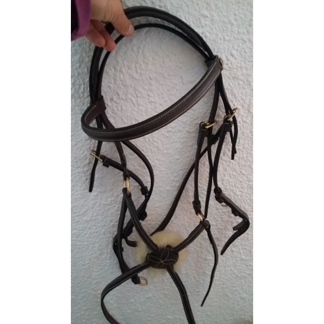 Filet équitation HFI MASTER