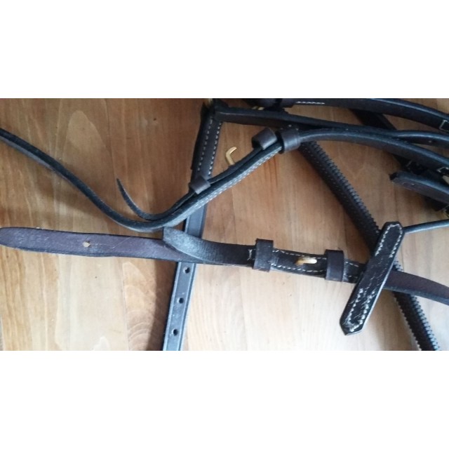 Filet équitation HFI MASTER