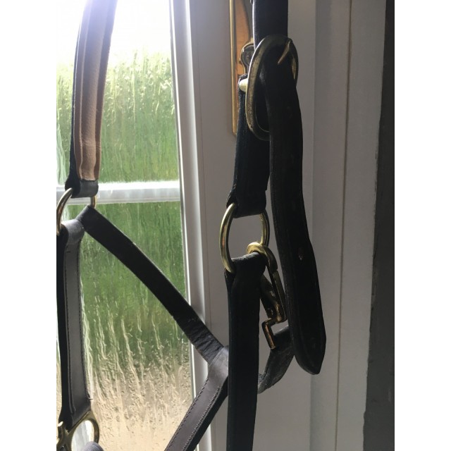 Licol aspect cuir taille cob