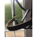 Licol aspect cuir taille cob
