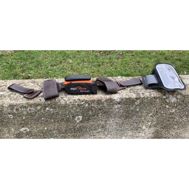 Equisense