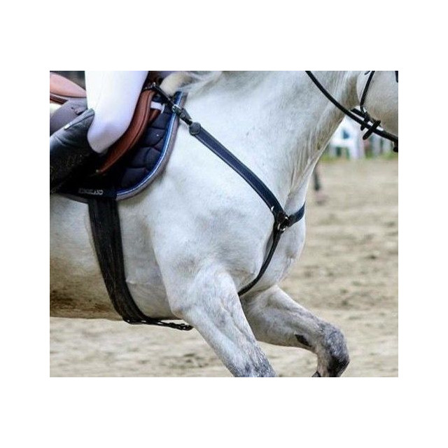 Collier de chasse HFI