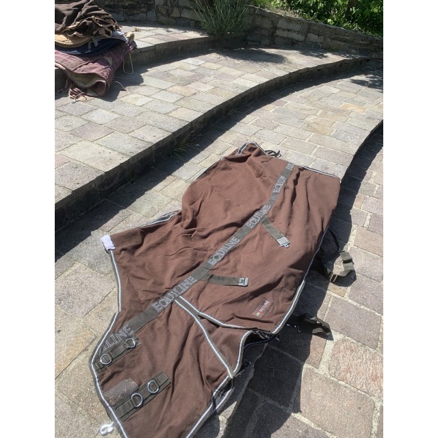 Chemise coton Equiline - Cheval