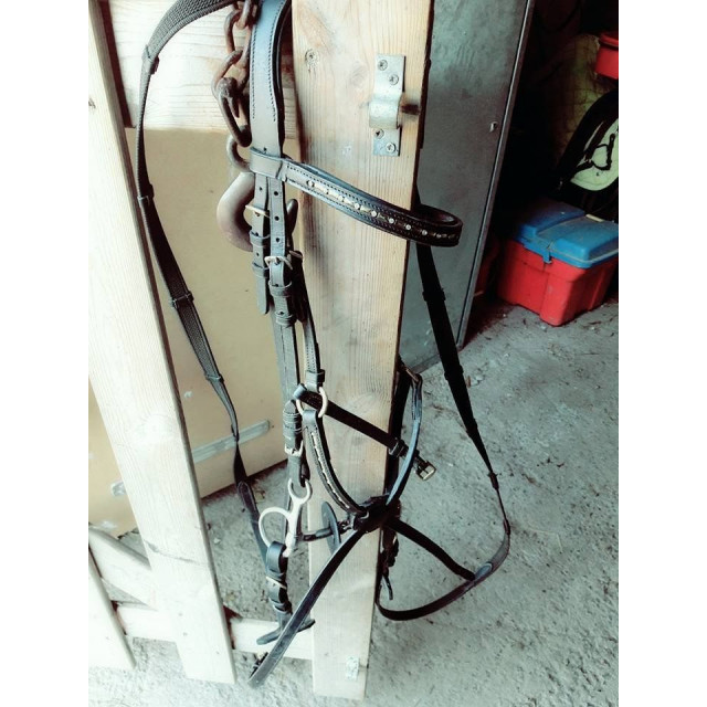 Bridon muserolle croisé