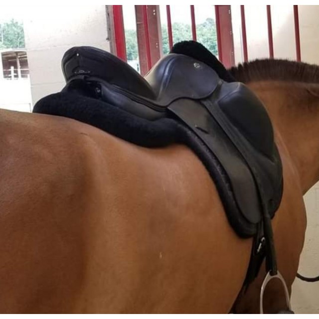 Selle dressage Prestige X Optimax k