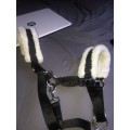 Licol pour petit cheval