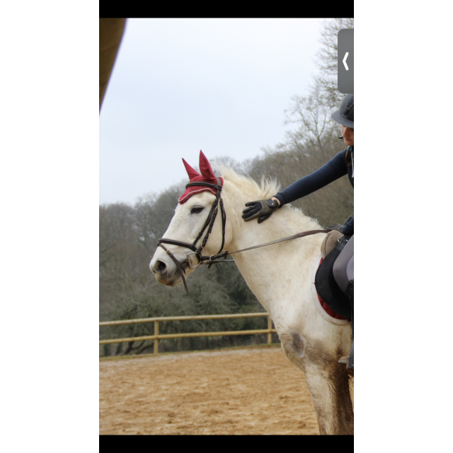 Bonnet Tponey bordeaux