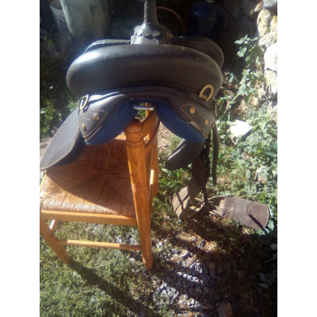 Selle australienne