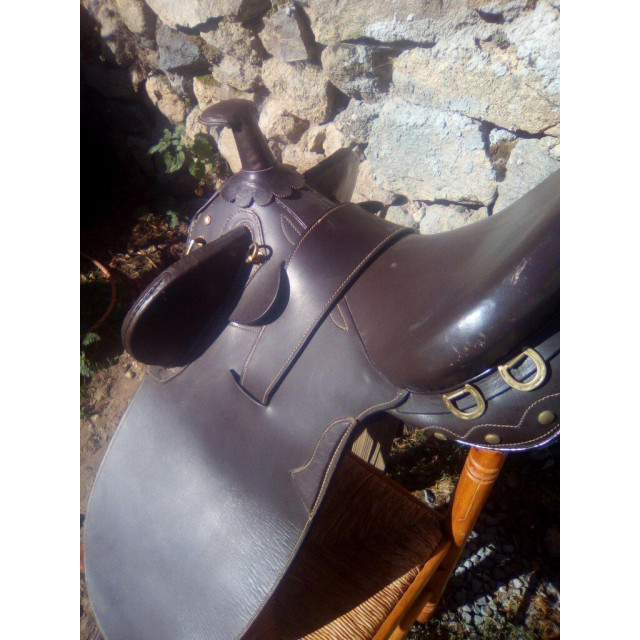 Selle australienne