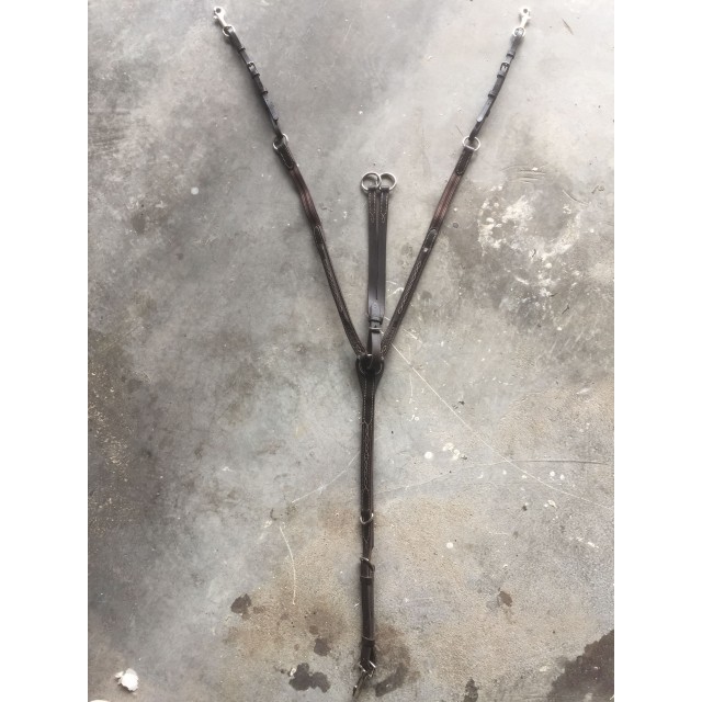 Collier de chasse + martingale