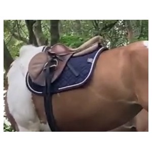 Tapis Equithème pro