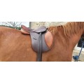 Selle mixte 16'5