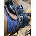 Selle Zaldi Ledyard