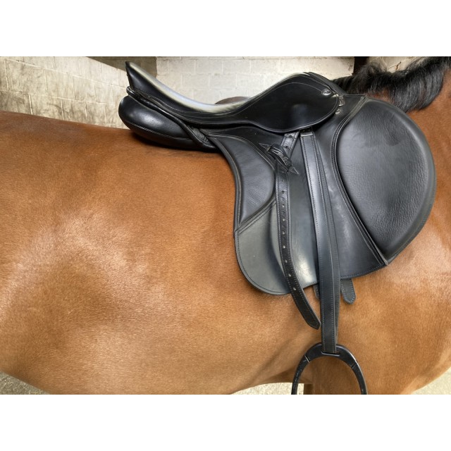 Selle Zaldi Ledyard