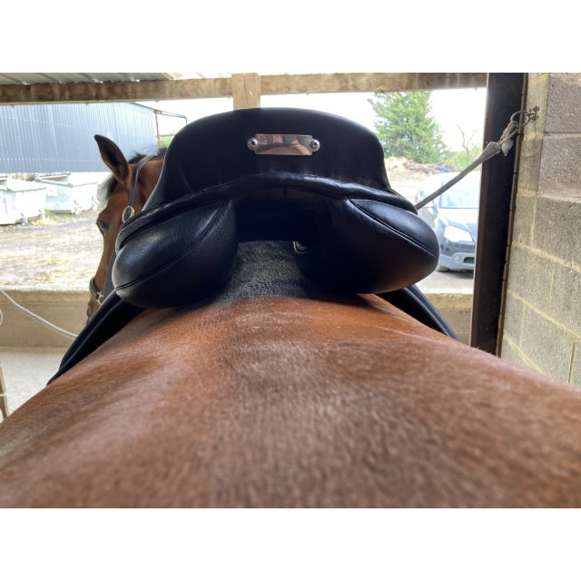 Selle Zaldi Ledyard