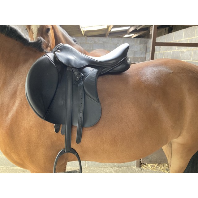Selle Zaldi Ledyard