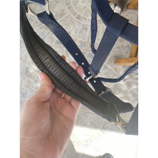 Licol + longe bleu marine