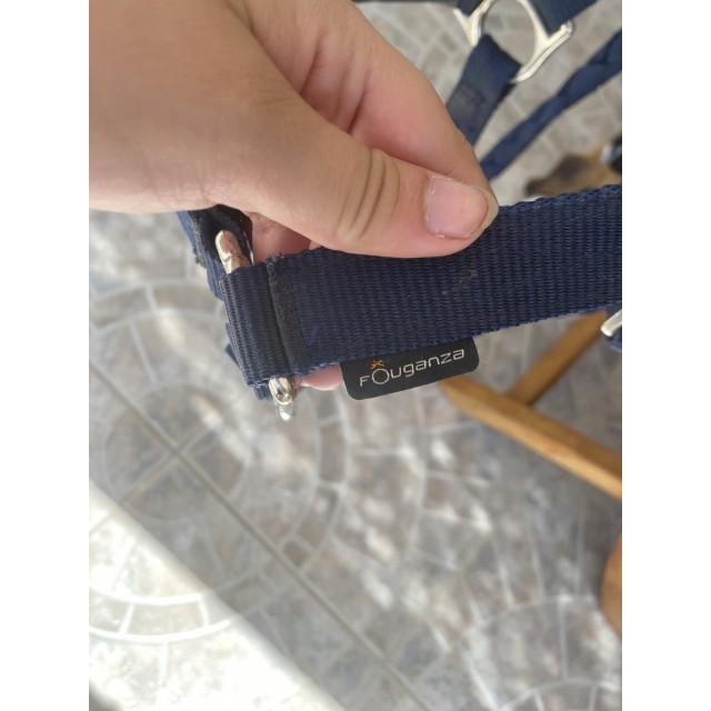 Licol + longe bleu marine