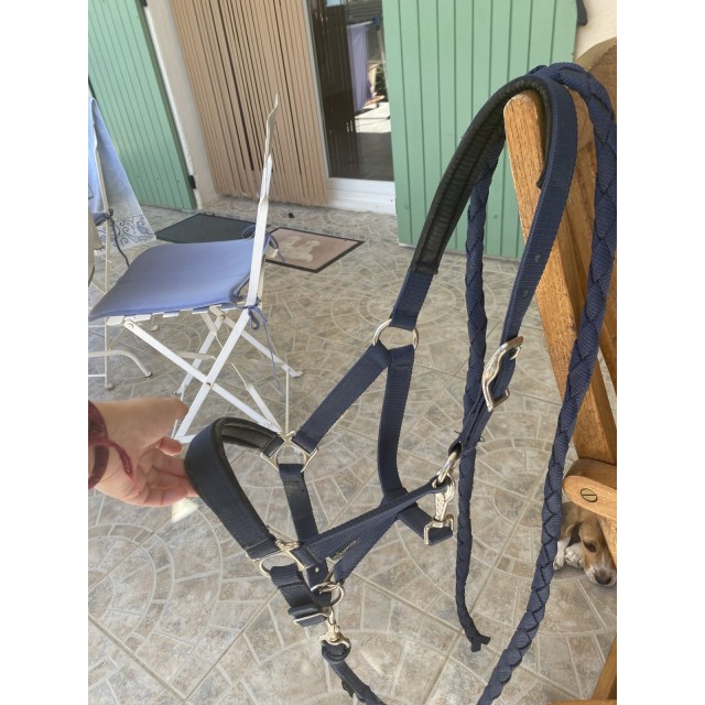 Licol + longe bleu marine