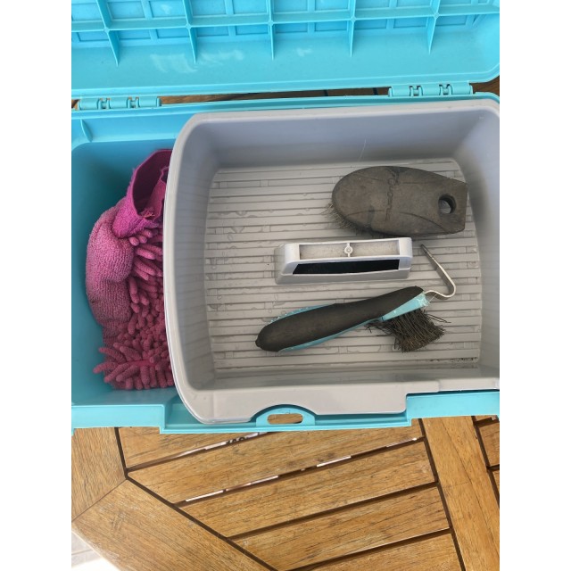 GB 500 bleue avec lot de brosses