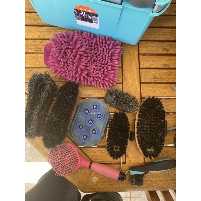 GB 500 bleue avec lot de brosses