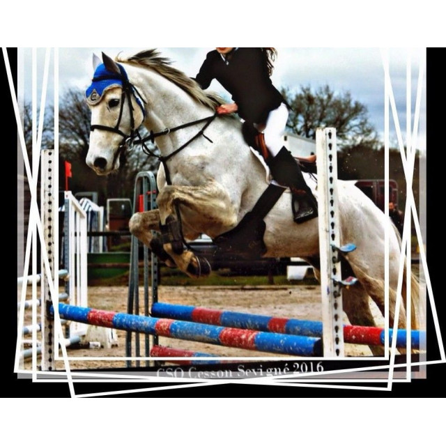 vestes concours