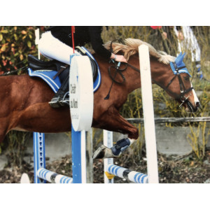 tapis coupé sport + bonnet equitheme