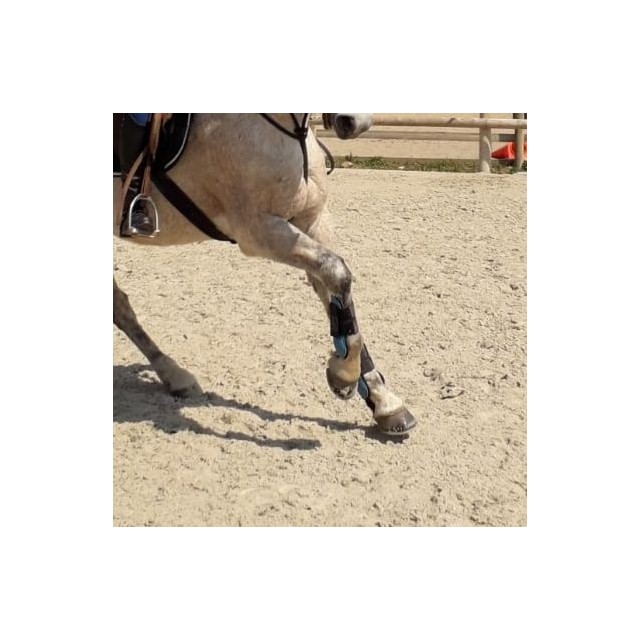 Ensemble guêtres + protèges boulets