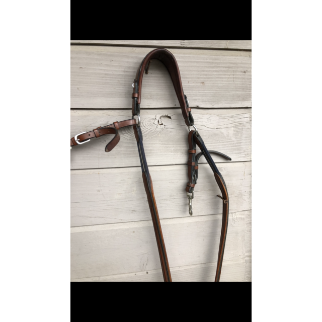 Collier de chasse martingale Antares