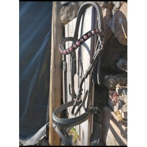 Bridon Félix Buhler