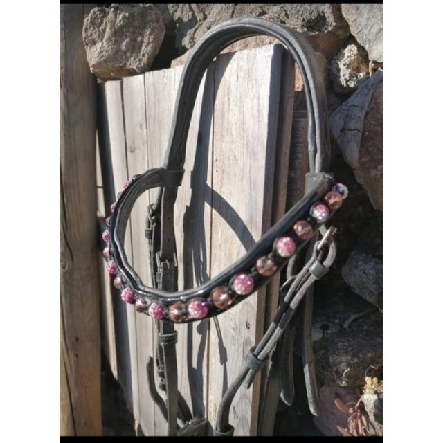 Bridon Félix Buhler