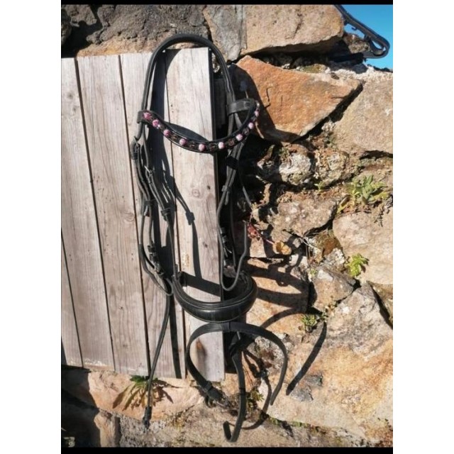 Bridon Félix Buhler