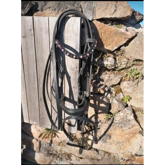 Bridon Félix Buhler