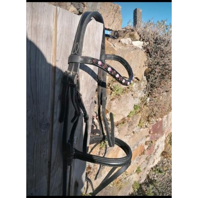 Bridon Félix Buhler