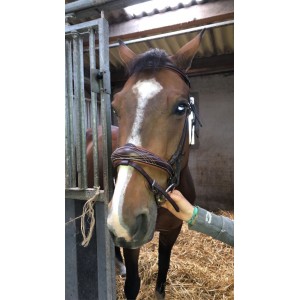 Filet fougenza marron