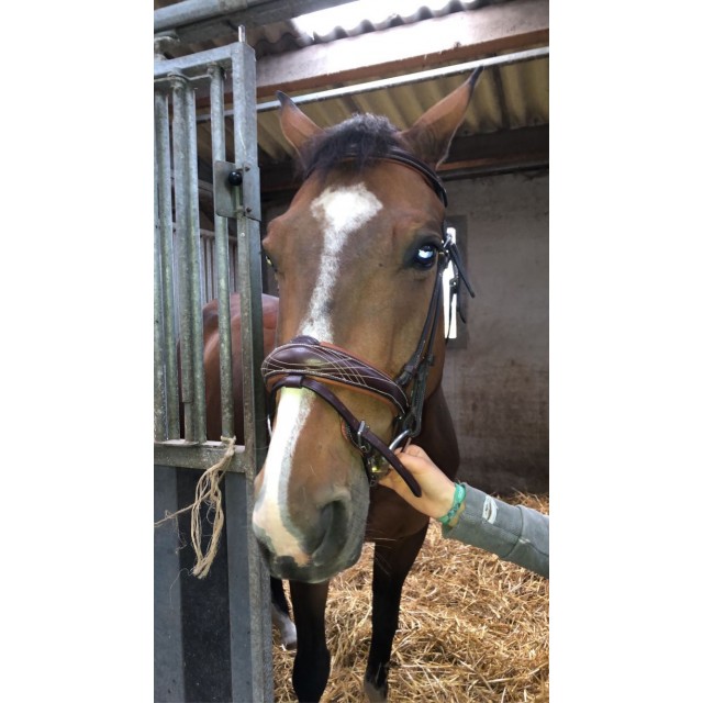 Filet fougenza marron