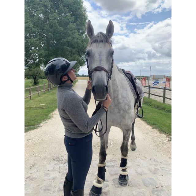 Amortisseur mouton noir.