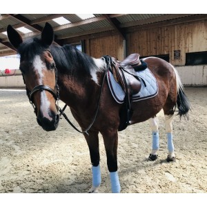 Ensemble tapis et bandes / bleu ciel