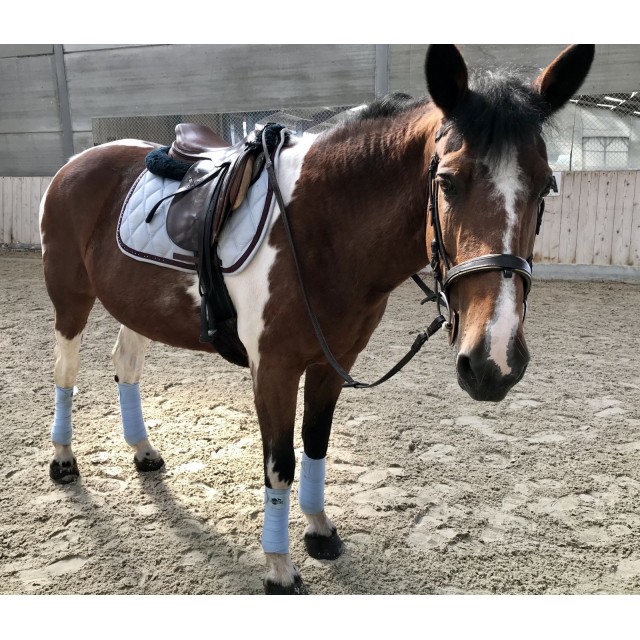 Ensemble tapis et bandes / bleu ciel