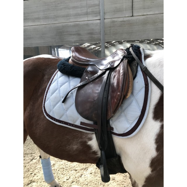 Ensemble tapis et bandes / bleu ciel