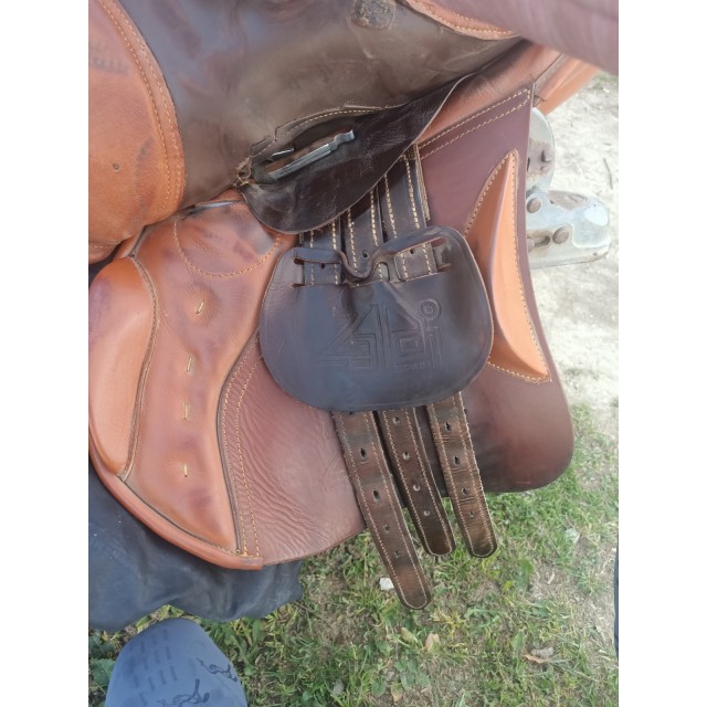 Selle zaldi ledyard
