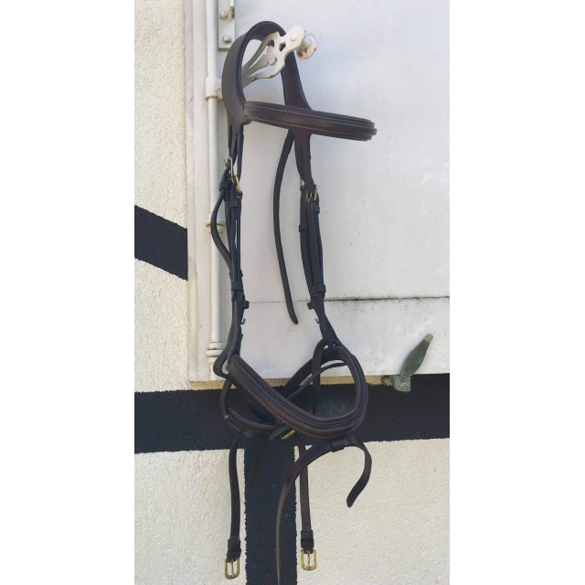 Bridon Dyon muserolle combinée «D collection»