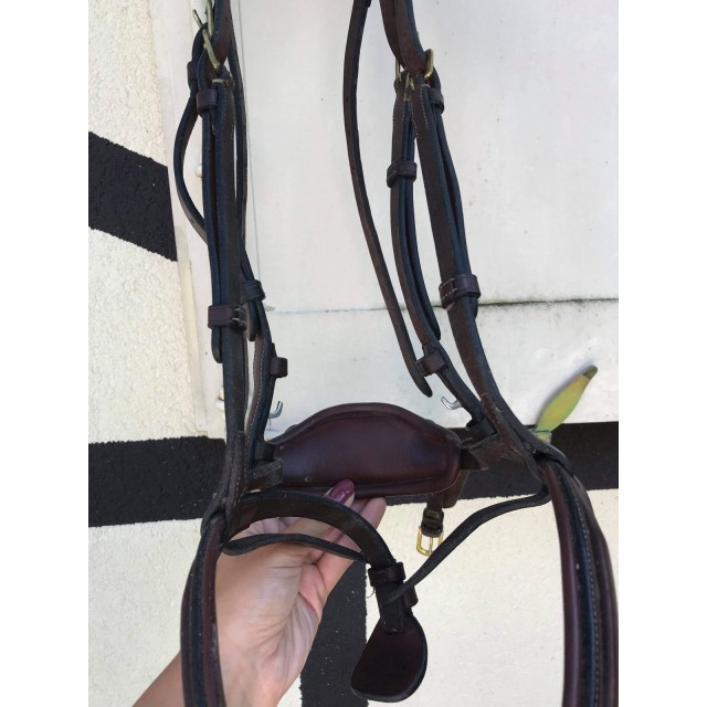 Bridon Dyon muserolle combinée «D collection»