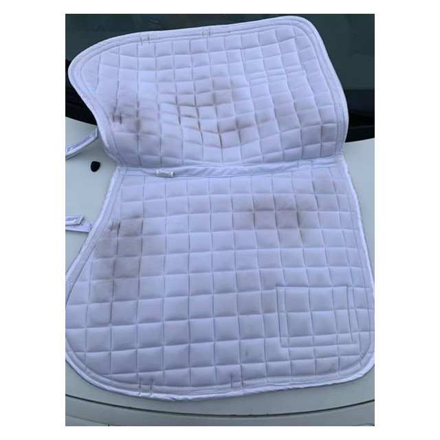 Tapis Eskadron Platinum