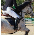 Bottes riding pro