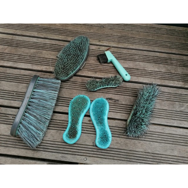 Lots brosses pansage