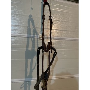 Collier de chasse Time rider