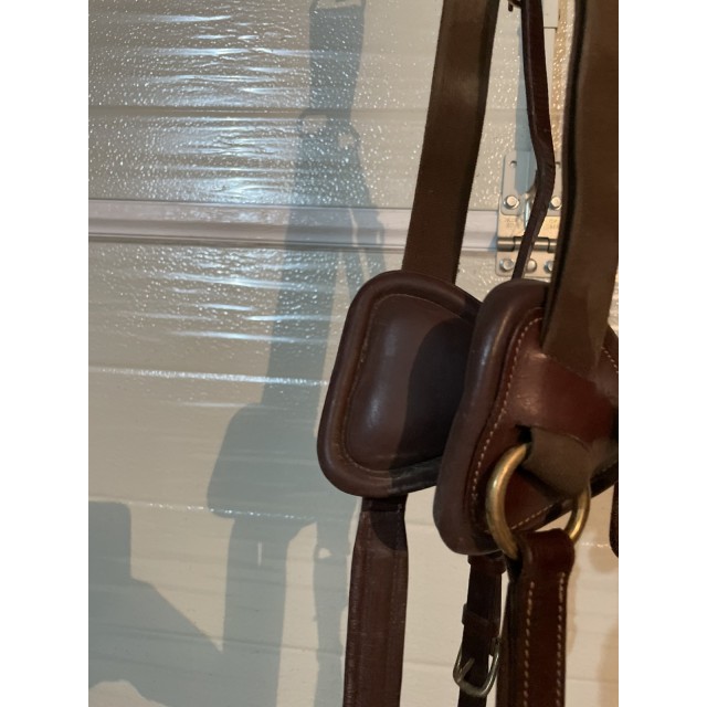 Collier de chasse Time rider