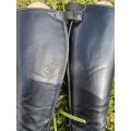 Bottes fellini